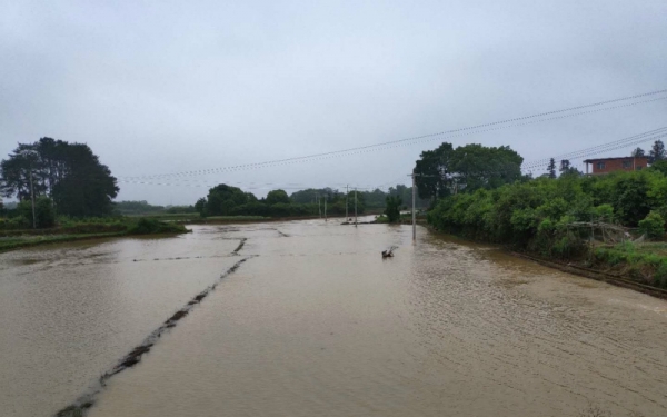 局地大暴雨！湖南东安多处塌方 成片农田被淹-图1