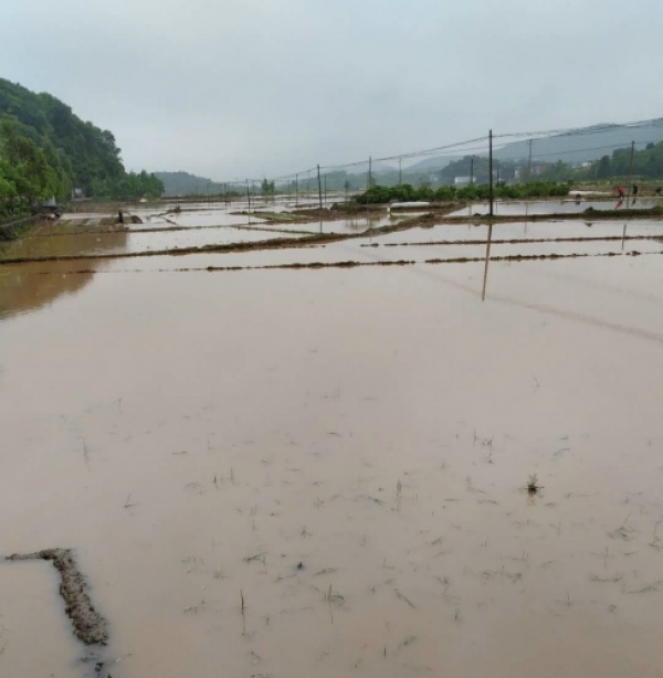 局地大暴雨！湖南东安多处塌方 成片农田被淹-图3