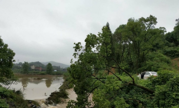 局地大暴雨！湖南东安多处塌方 成片农田被淹-图5
