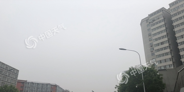 微信图片_20190429072335_副本.jpg