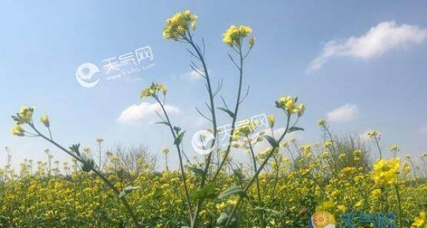 北京气温回升至23℃ 五一全市晴天或多云为主