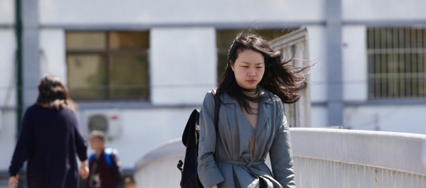 北京阵风7~8级  街头美女“风中凌乱”-图5