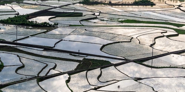 重庆山乡田园美 南川初夏插秧忙-图4