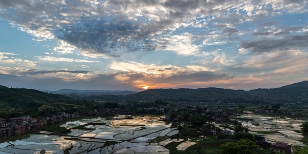 重庆山乡田园美 南川初夏插秧忙-图6