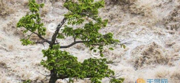 广东连山因暴雨引发山洪  4人死亡2人受伤