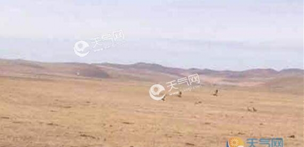 五一期间内蒙古天气晴好 局地森林火险等级极高
