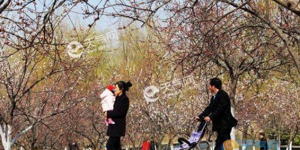 河北继续发布大风预警 五一天气晴好宜出游