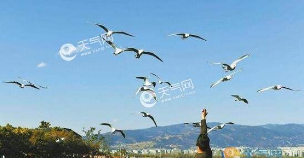 成都公布最新空气质量报告 优良天数较同期增加20天