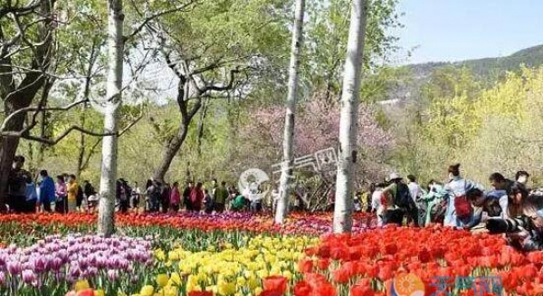 受冷空气影响 今年北京春季比往年多近10天