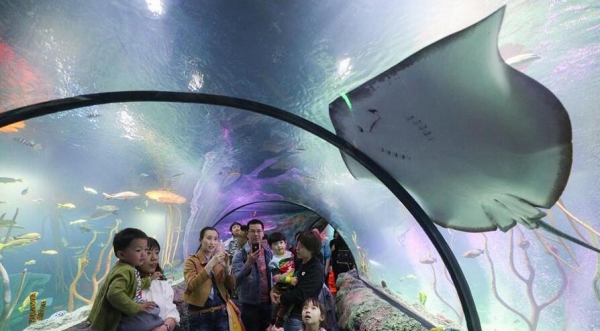 五一假期出游热 景区人从众-图5