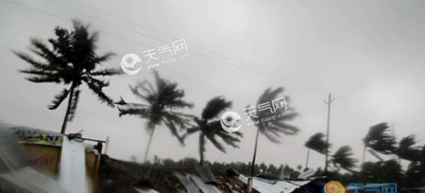 印度遭热带气旋“法尼”袭击 死亡人数已上升至33人