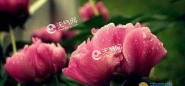 川陕华南强降雨来袭 冷空气走了北方开始回温
