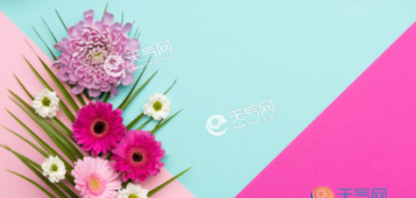 2019简单漂亮的母亲节贺卡封面图 母亲节贺卡制作漂亮好看图集