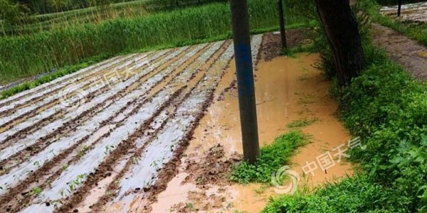 西北雨减弱 周四起全国迎三天降水间歇期