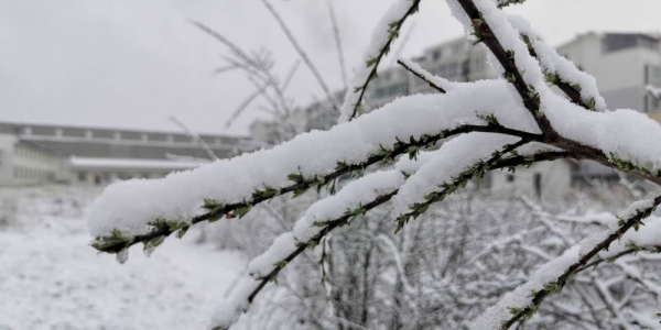 立夏飞雪  四川若尔盖迎来降雪降温天气-图5