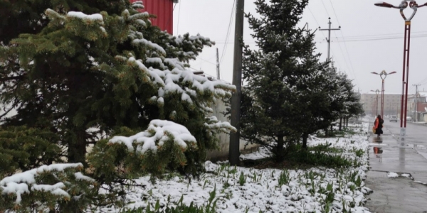 立夏飞雪  四川若尔盖迎来降雪降温天气-图7