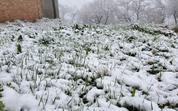 立夏时节 甘肃华家岭大雪纷飞-图1