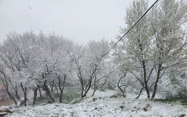 立夏时节 甘肃华家岭大雪纷飞-图3