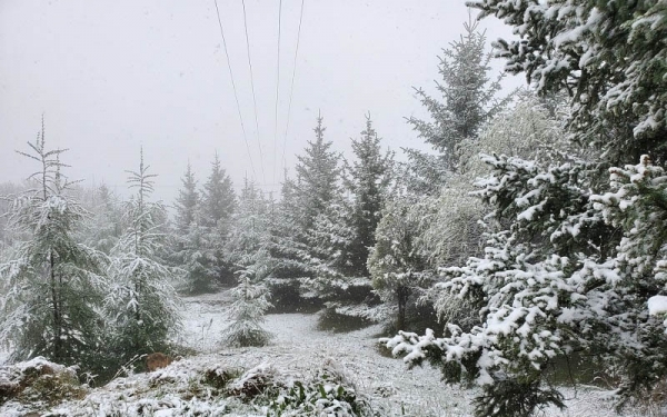 立夏时节 甘肃华家岭大雪纷飞-图5