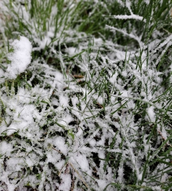 立夏时节 甘肃华家岭大雪纷飞-图6