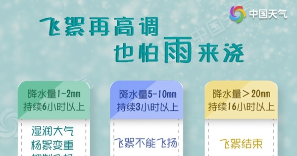 恼人飞絮无人能管？ 告诉你飞絮最怕啥！
