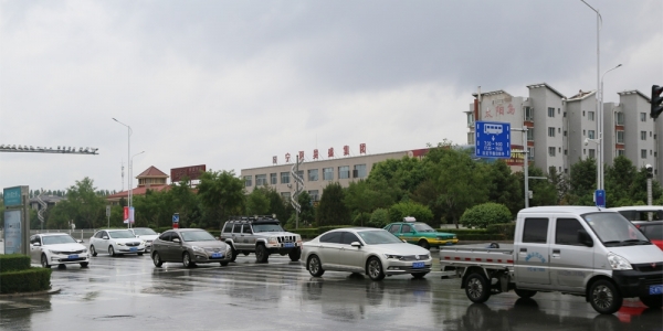 宁夏银川连阴雨 初夏一秒回春天-图3
