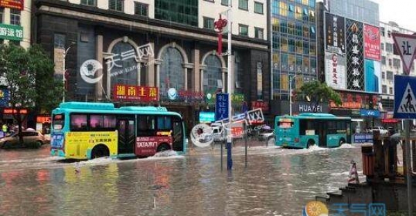 深圳发布暴雨黄色预警 这些易积水路段需避开