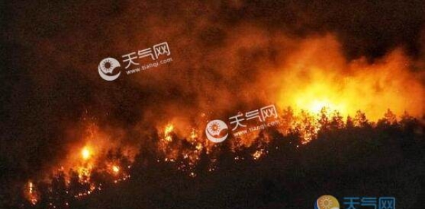 南苏丹突发森林火灾 大火肆虐至少33人死亡
