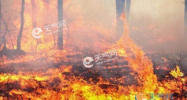 南苏丹突发森林火灾 大火肆虐至少33人死亡