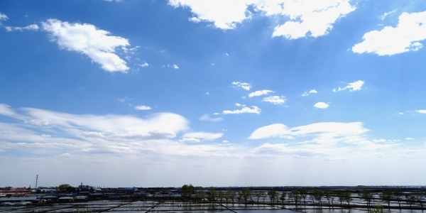 春夏之交 龙江大地插秧忙-图10