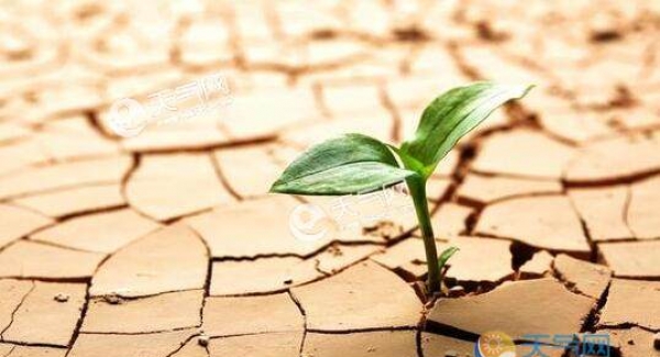 科学家研究：空气污染对全球变暖或有抑制作用