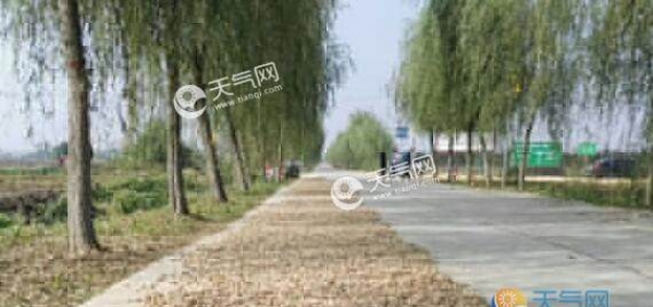 今日河南全省多云转阴 郑州气温最高仅24℃