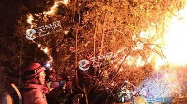 丽江玉龙发生山火怎么回事 丽江玉龙山火最新扑救进展