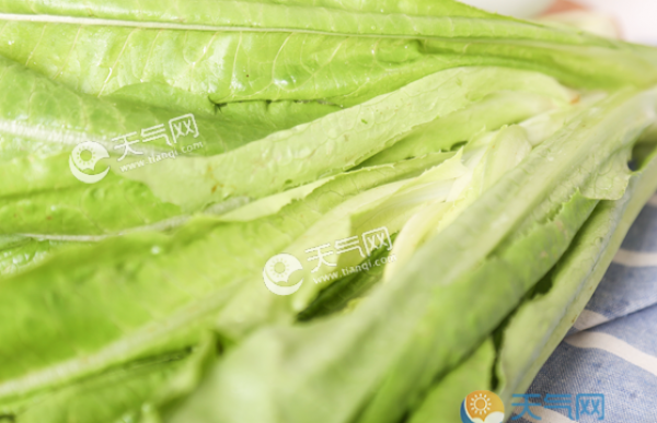 小满适合吃什么蔬菜 2019小满8大去热邪养脾胃蔬菜
