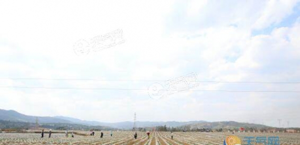 5月云南气温偏高降水偏少 多地森林火险等级居高不下
