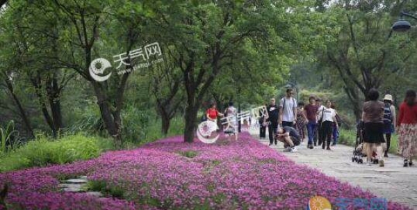 浙江大部气温升至30℃ 本周末多云天气为主