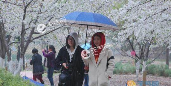 明起北京全市阵雨或雷阵雨 局地最低气温15℃