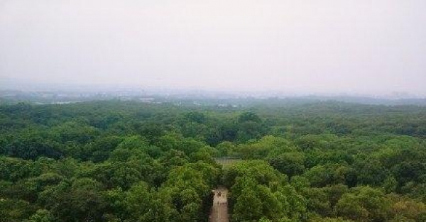 雨水送清凉 明后天江苏有较明显降水过程