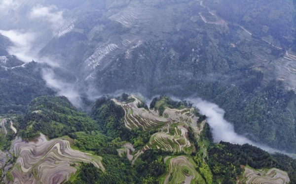 雨后云雾绕青山 赏贵州从江奇美梯田-图2