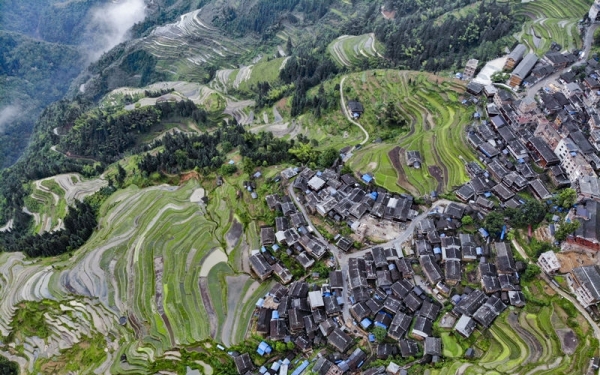 雨后云雾绕青山 赏贵州从江奇美梯田-图3