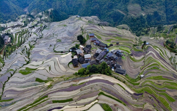 雨后云雾绕青山 赏贵州从江奇美梯田-图5