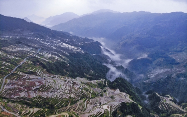 雨后云雾绕青山 赏贵州从江奇美梯田-图4