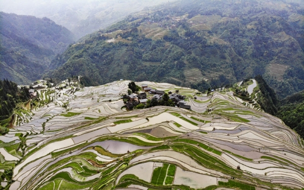 雨后云雾绕青山 赏贵州从江奇美梯田-图7