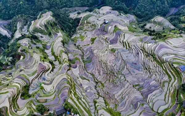 雨后云雾绕青山 赏贵州从江奇美梯田-图6