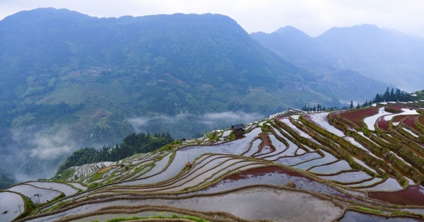 雨后云雾绕青山 赏贵州从江奇美梯田-图9