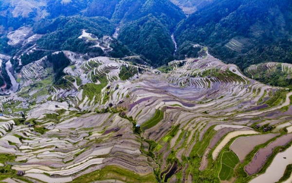 雨后云雾绕青山 赏贵州从江奇美梯田-图8