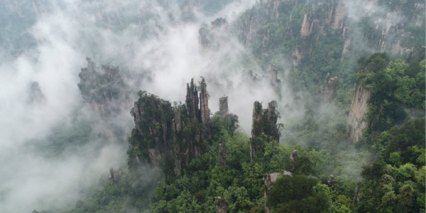 烟雨漫峰林 张家界云环雾绕宛如仙境-图2