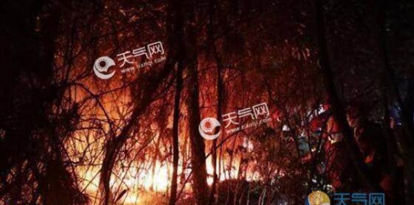云南安宁山火面积已达550亩 所幸无人员伤亡