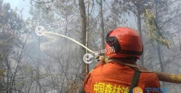 云南安宁山火面积已达550亩 所幸无人员伤亡