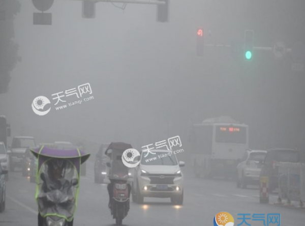 2019最新大雾黄色预警 山东半岛南部大雾弥漫